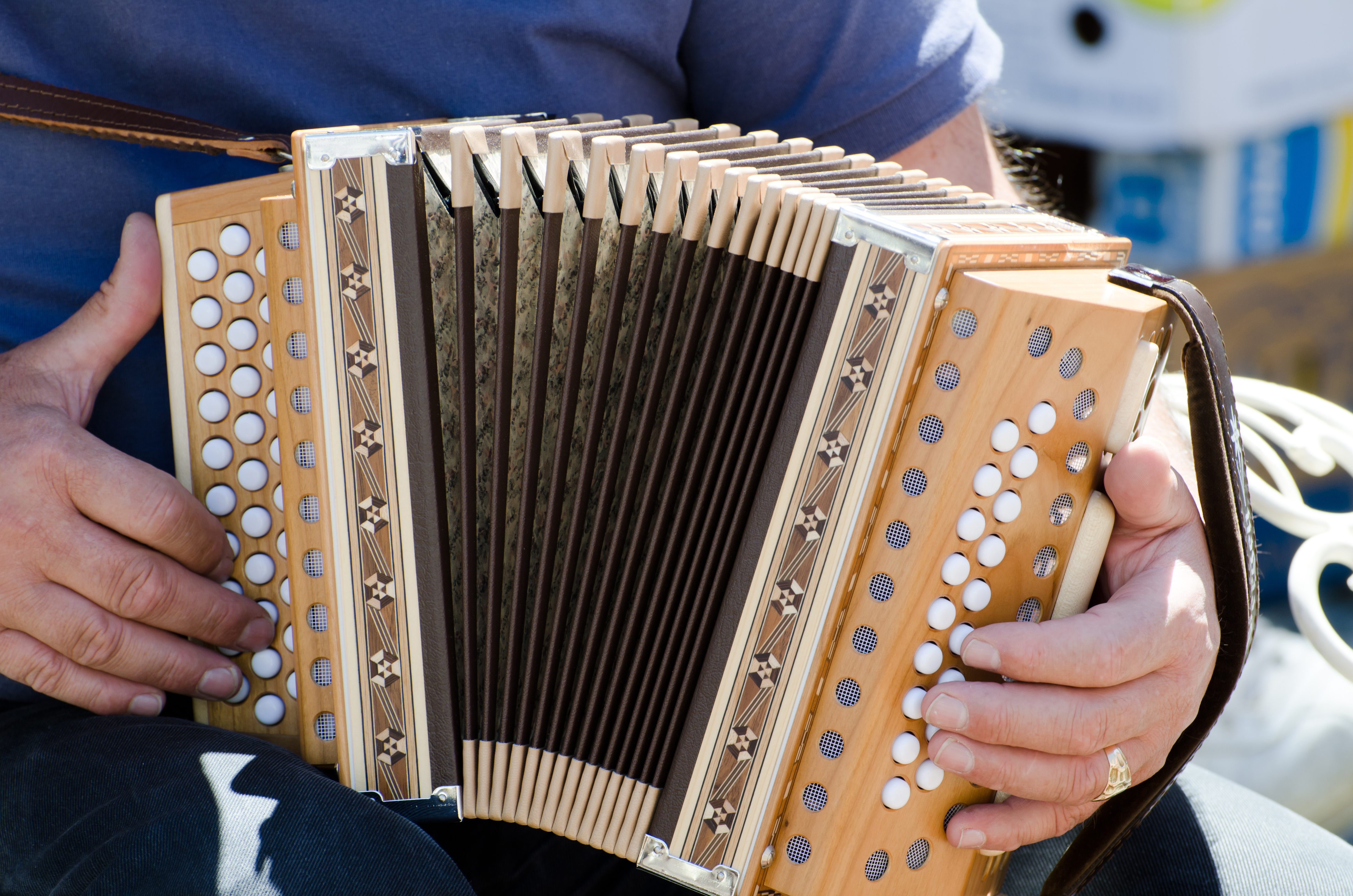  Accordéon schwytzois